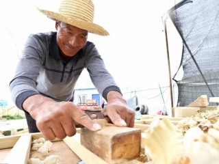 河北雄安容东工地招做二次结构的木工支模师傅